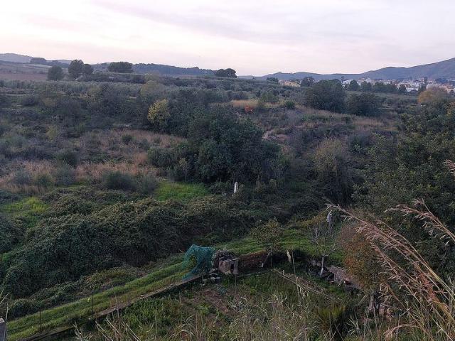 Terreno en venta en Bonastre Terreno en venta en Bonastre