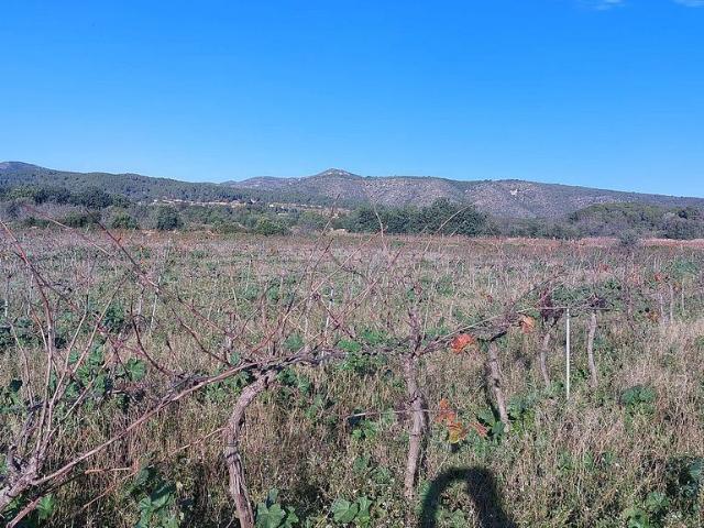 Terreno en venta en Bonastre Terreno en venta en Bonastre