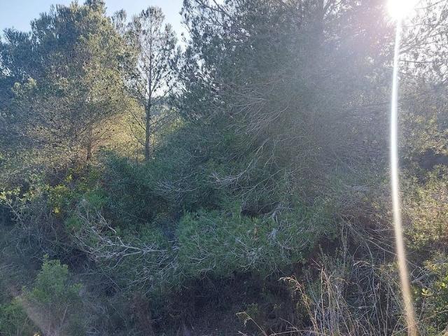 Terreno en venta en Bonastre Terreno en venta en Bonastre