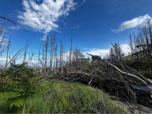 Terreno en venta en Campo de Borja, Aragón