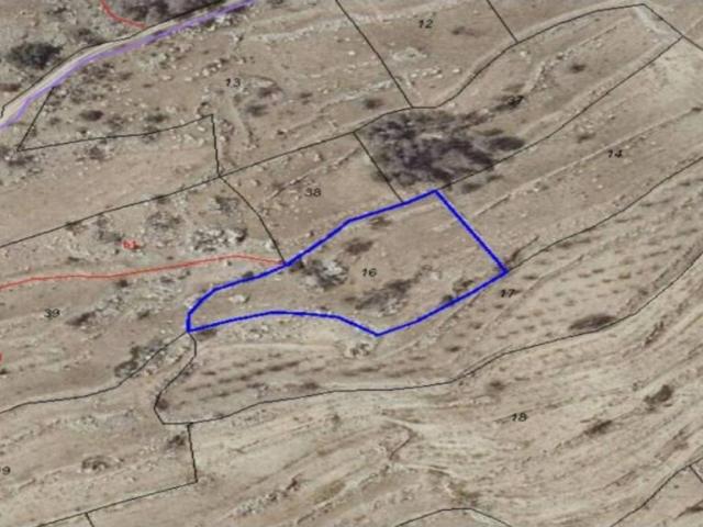 Terreno en venta en Campo de Borja, Aragón