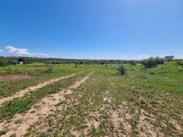 Terreno en venta en Bormujos, Andalucía