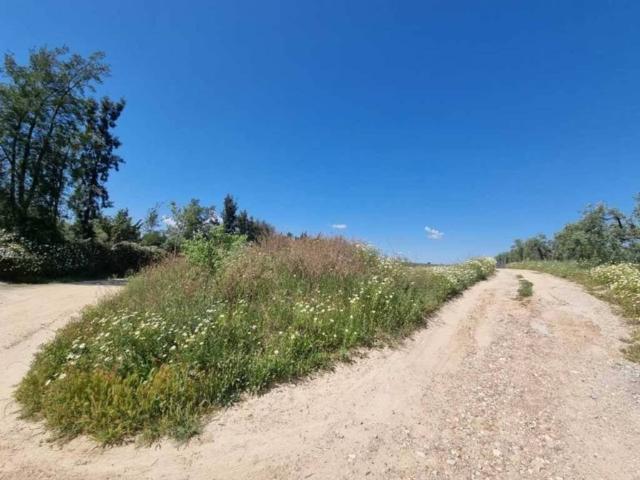 Terreno en venta en Bormujos, Andalucía