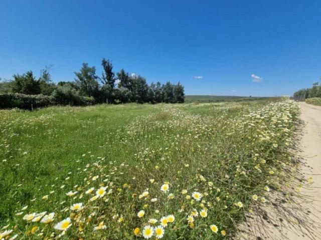 Terreno en venta en Bormujos, Andalucía