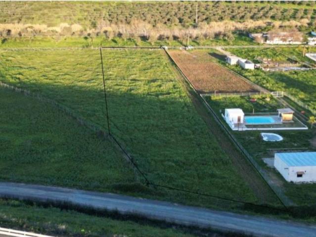 Terreno en venta en Bormujos, Andalucía