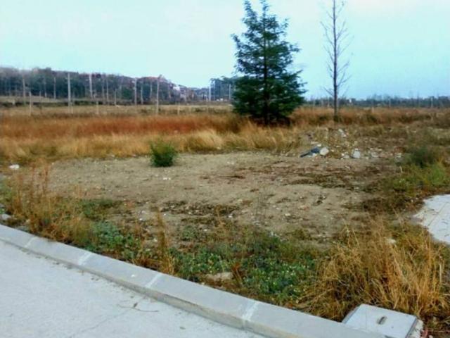 Terreno en venta en Borox, Castilla-La Mancha