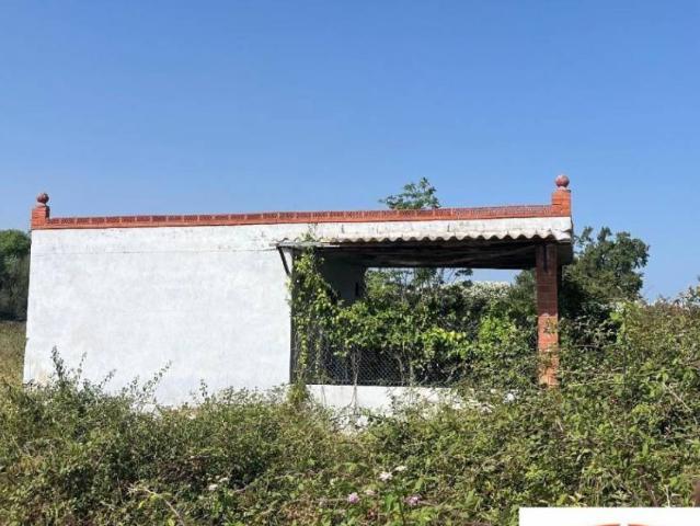 Terreno en venta en la Plana Baixa, Valencia