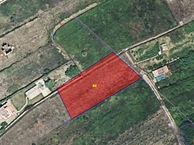 Terreno en venta en la Plana Baixa, Valencia