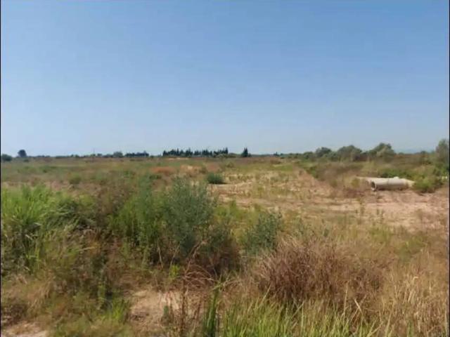 Terreno en venta en la Plana Baixa, Valencia
