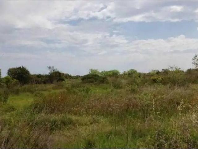Terreno en venta en la Plana Baixa, Valencia