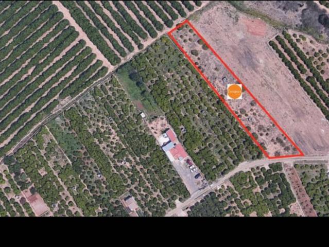 Terreno en venta en la Plana Baixa, Valencia
