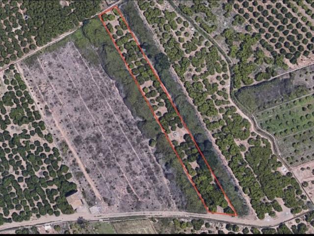 Terreno en venta en la Plana Baixa, Valencia