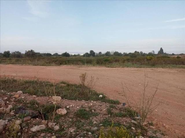 Terreno en venta en la Plana Baixa, Valencia