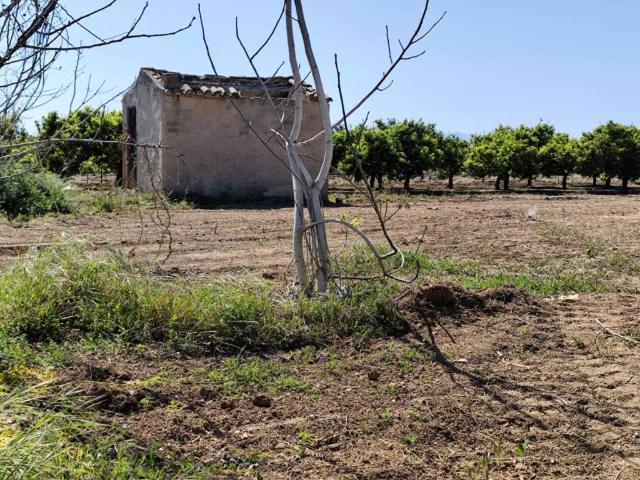 Terreno en venta en la Plana Baixa, Valencia