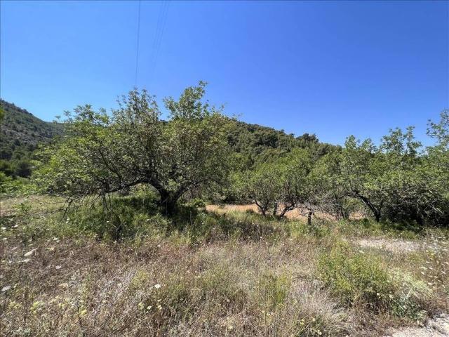 Terreno en venta en la Plana Alta, Valencia