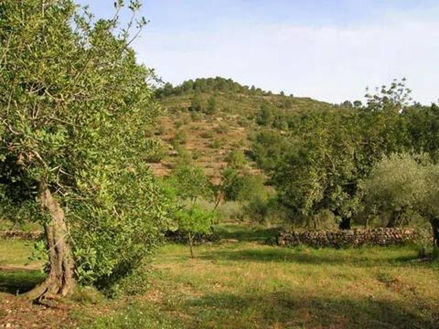 Terreno en venta en la Plana Alta, Valencia