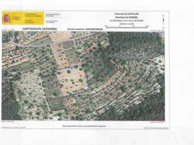 Terreno en venta en la Plana Alta, Valencia