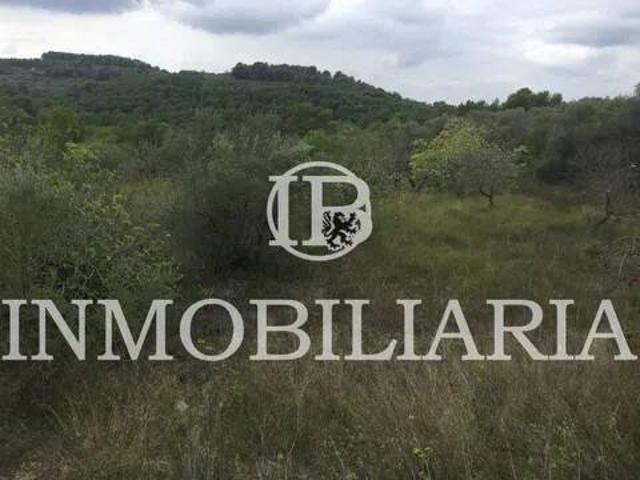 Terreno en venta en la Plana Alta, Valencia