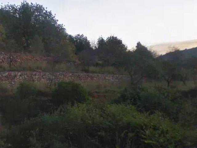 Terreno en venta en la Plana Alta, Valencia