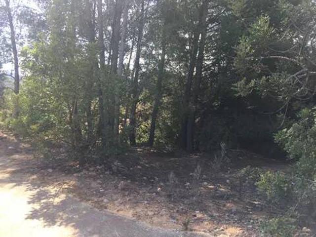 Terreno en venta en el Poble Nou, la Plana Alta