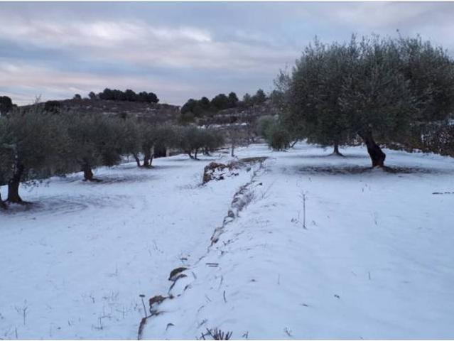 Terreno en venta en la Plana Alta, Valencia