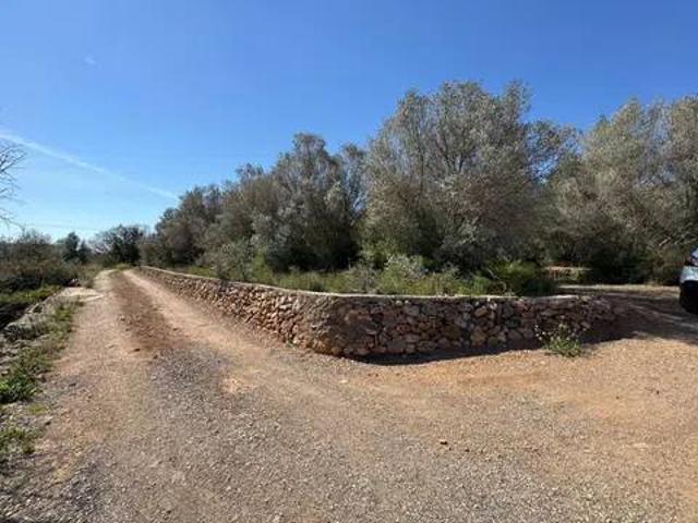 Terreno en venta en la Plana Alta, Valencia