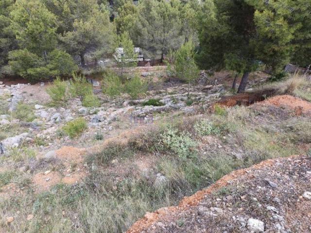 Terreno en venta en Borriol, Castelló / Castellón