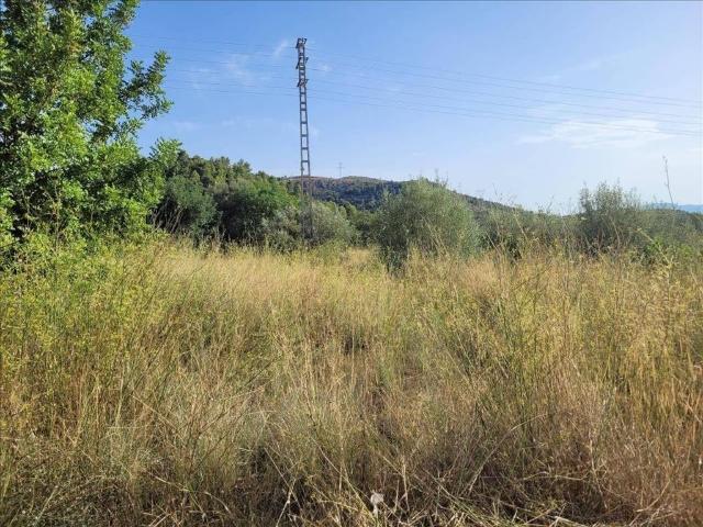 Terreno en venta en la Plana Alta, Valencia