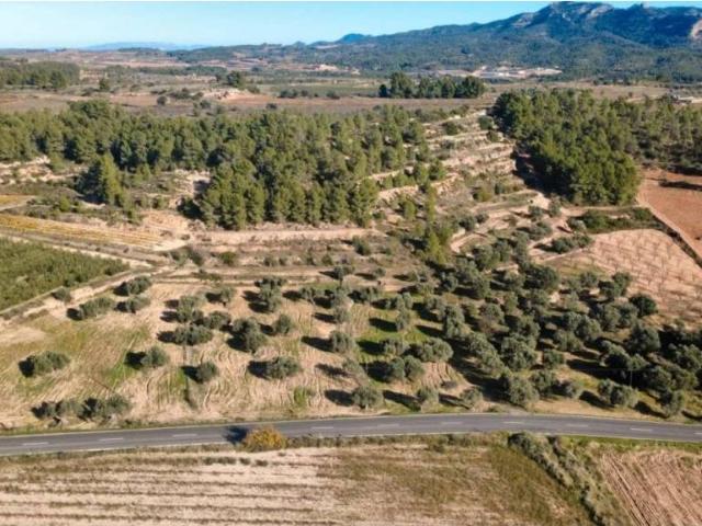 Terreno en venta en Terra Alta, Catalunya