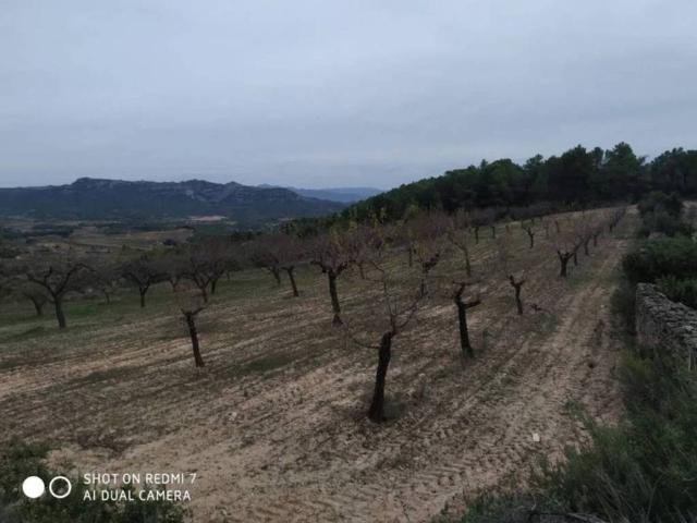 Terreno en venta en Bot