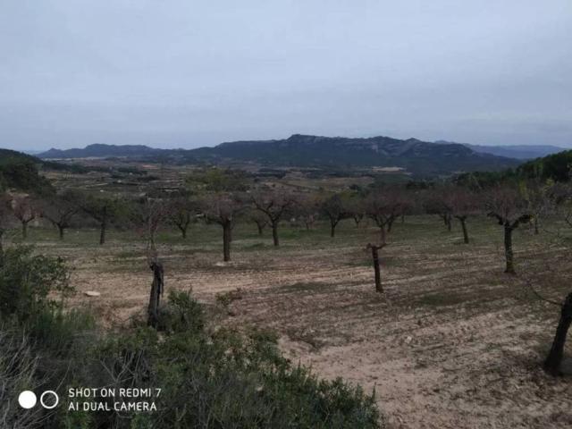 Terreno en venta en Terra Alta, Catalunya