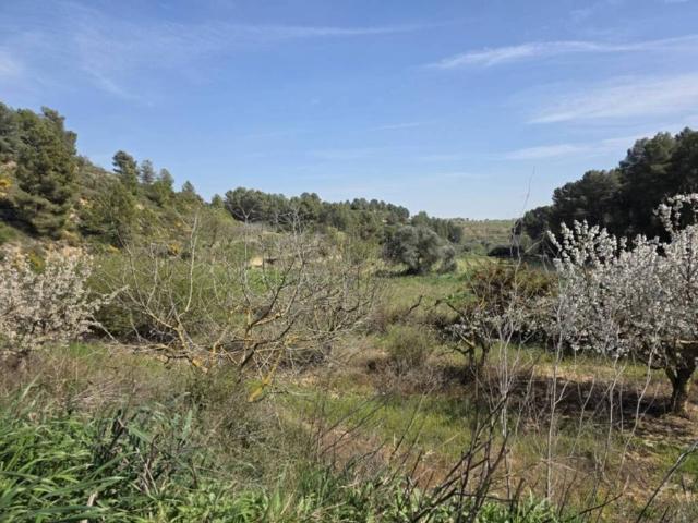 Terreno en venta en Terra Alta, Catalunya