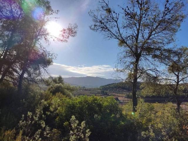 Terreno en venta en Bot