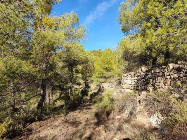 Terreno en venta en Terra Alta, Catalunya