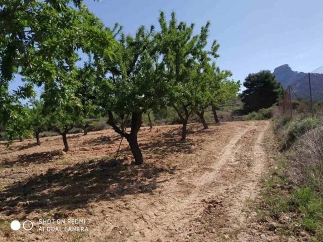 Terreno en venta en Terra Alta, Catalunya