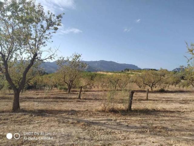 Terreno en venta en Bot