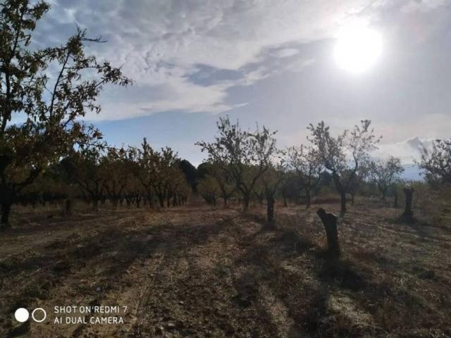 Terreno en venta en Terra Alta, Catalunya