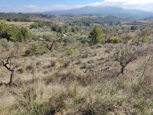 Terreno en venta en Bot