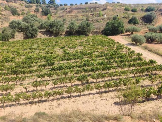 Terreno en venta en Terra Alta, Catalunya