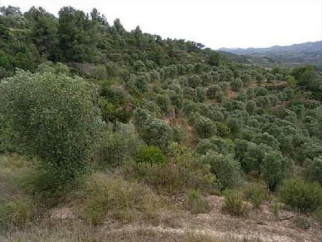Terreno en venta en Garrigues, Catalunya