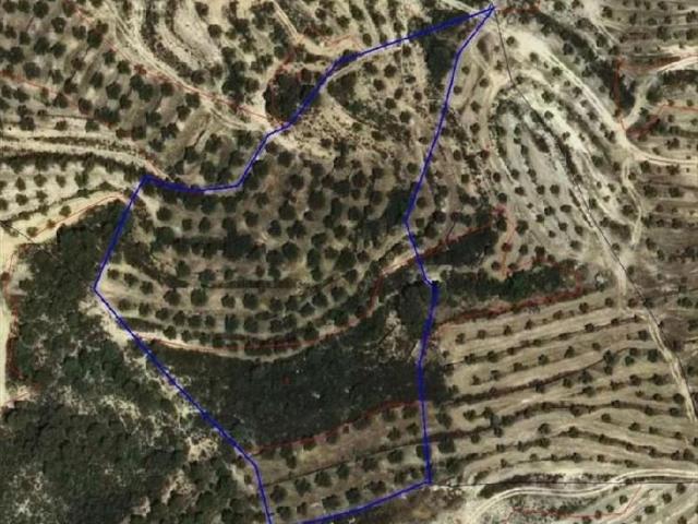 Terreno en venta en Garrigues, Catalunya
