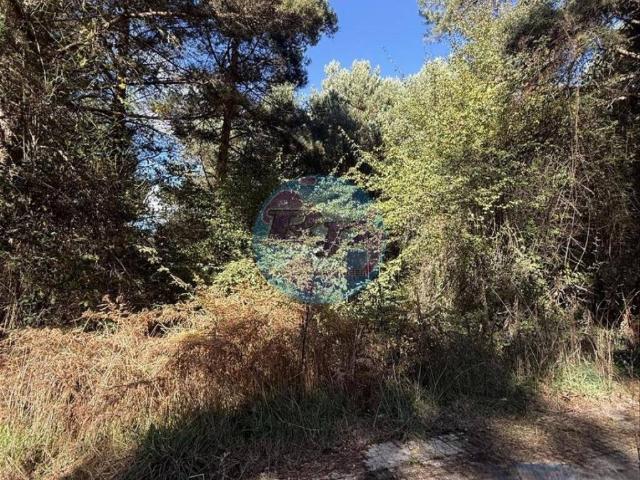 Terreno en venta en Boñar, Castilla y León