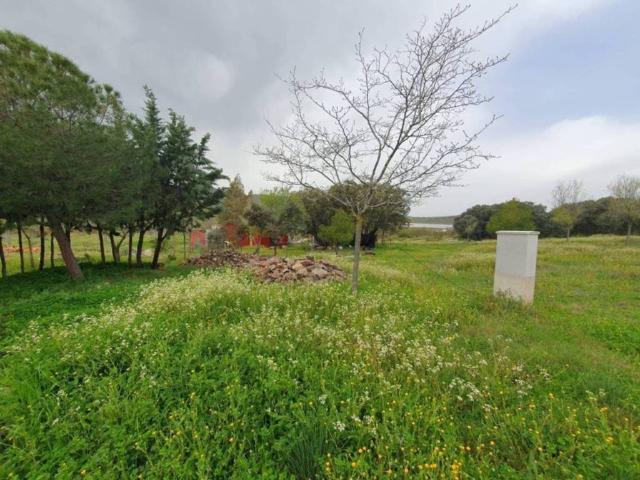 Terreno en venta en Brazatortas, Castilla-La Mancha