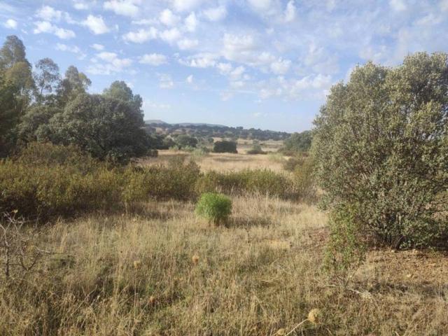 Terreno en venta en Brazatortas, Castilla-La Mancha