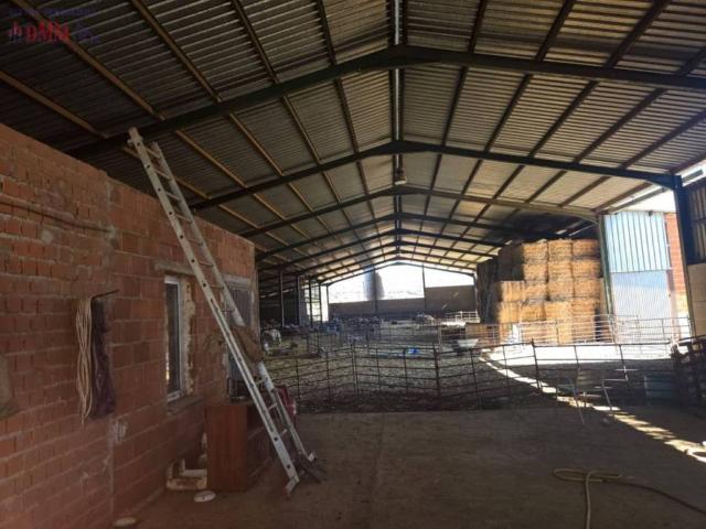 Terreno en venta en Puertollano, Castilla-La Mancha