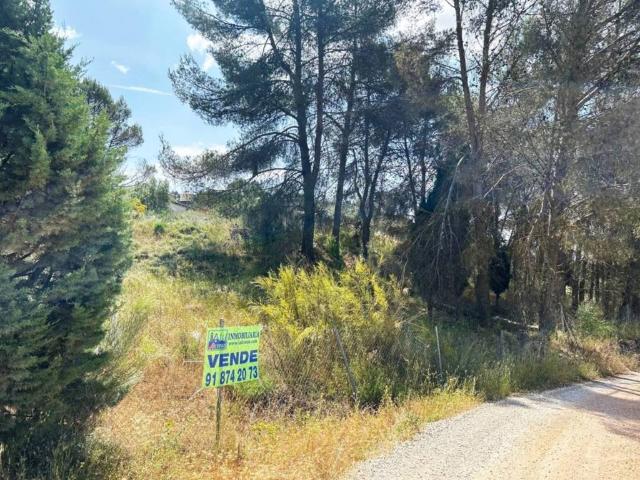 Terreno en venta en Brea De Tajo, Madrid