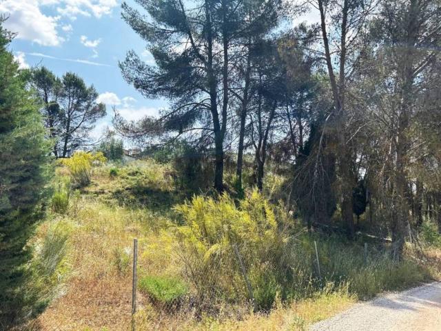 Terreno en venta en Brea De Tajo, Madrid
