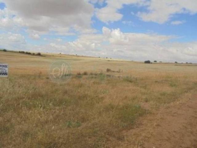 Terreno en venta en Brieva, Castilla y León