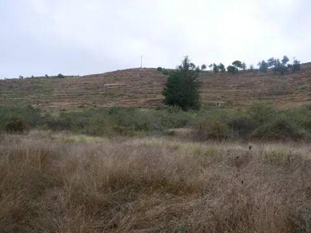 Terreno en venta en Briviesca, Castilla y León