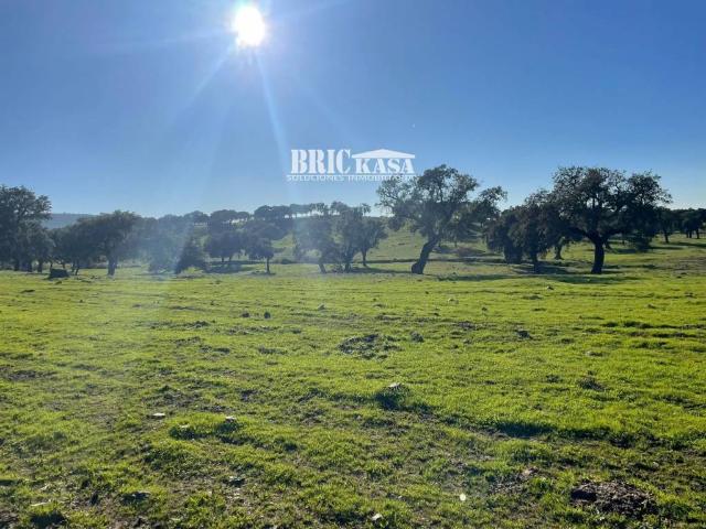 Terreno en venta en Brozas, Extremadura